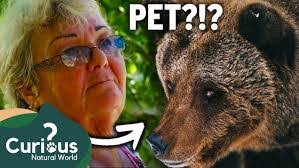 Casey Bear's Instagram, Twitter & Facebook