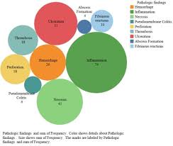 Image result for Neutropenic Colitis