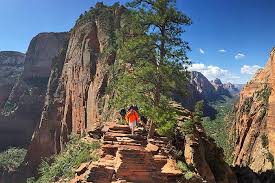 Zion for hiking, bryce canyon for camping. Grand Canyon Hiking Tours Biking Bryce Zion Backroads