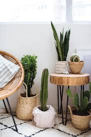 Introducing indoor plants inside your home is a simple yet tricky task. Cool Ideas For Decorating Home Corners With Plants My Desired Home