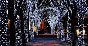 Pin On Aspiring Green Citizen