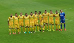 News galerien transfers videos spielabsagen frosinone calcio frosinone frosi internationaler fußball. Frosinone Calcio 2016 2017 Wikipedia