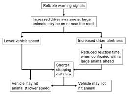 Chapter 5 Wildlife Vehicle Collision Reduction Study