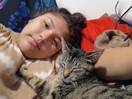 Lost cat in Panama City area