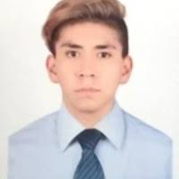 20+ "Pablo Saul" profiles