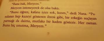 Bin muhteşem güneş, afgan iki kadının öyküsü. Afrikali Penguen Khaled Hosseini Bin Muhtesem Gunes