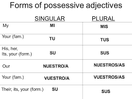 words and phrases to describe your family in spanish