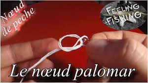 NÅ“ud De Peche Le NÅ“ud Palomar Agrafe Emerillon Youtube Lorsque l'on débute la pêche à la mouche il n'est pas nécessaire de connaître énormément de nœuds. nÅ“ud de peche le nÅ“ud palomar agrafe emerillon