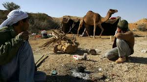 Choose the or (/) for no article for each blank below, then click the check button to check your answers. Bbc Travel A Boy S Mission To Save The Camel