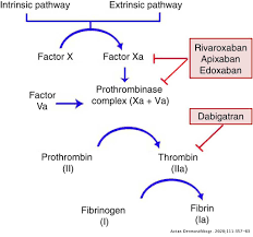 Direct Acting Oral Anticoagulants In Dermatologic Surgery Actas Dermo Sifiliograficas
