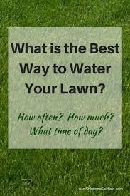 Wondering how to water a lawn? Best Way To Water Your Lawn Best Watering Practices In Fairfield County Lawn Solutions Fairfield