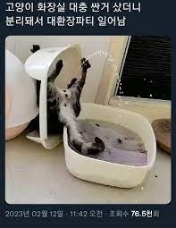 사 오후 키