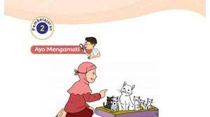 Cara berkembang biak tumbuhan kumis kucing vegetatif apa generatif. Kunci Jawaban Tema 1 Kelas 3 Halaman 108 109 110 111 112 113 114 115 Subtema 3 Pertumbuhan Hewan Halaman 2 Tribun Pontianak