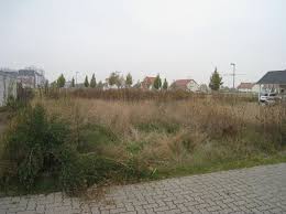 Hier sind klassische architektur und zeitgemaße innenraumgestaltung perfekt aufeinander abgestimmt. Angebote Kauf Referenzen