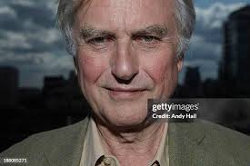 512 Andy Muse Photos & High Res Pictures