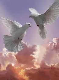 Update information for james mcginley ». James Mcginley Obituary Woodside Ny