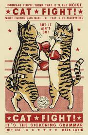 Pin On Drunk Cats And Animals
