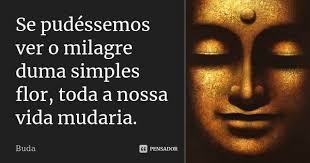Pin Em Frases