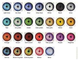 Eye Color Chart Tumblr
