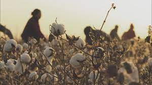 村厅 湖北农业农村厅 湖南农业农村厅 广东农业农村厅 广西农业农村厅 海南农业农村厅 重庆农业农村委 四川农业农村厅 贵州农业农村厅 云南农业农. Uyohrblfeqnvam