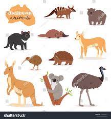 Australian Animals Vector Animalistic Character In Wildlife Australia Kangaroo Koala And Platypu Australian Animals Australia Animals Australian Native Animals