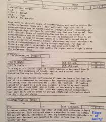 If left untreated, these tumors may spread throughout the body and cause death. How To Help A Dog With Pancreatitis Fidose Of Reality