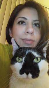 Anyone missing a cat right by Davis? This buddy is sneaking around our  backyard.