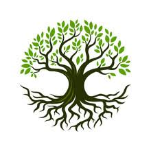 Your tree life stock images are ready. Tree Of Life Free Stock Photo Public Domain Pictures