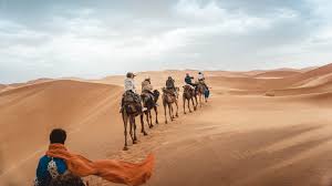 See comprehensive translation options on definitions.net! Why A Morocco Private Tour Is The Best Way To Travel
