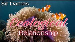 Worksheets are teacher answer key jsb, amoeba sisters video recap ecological relationships, ecological relationships answer key pogil pdf, ecological succession work answer key, ecological relationships answers pogil, ecological pyramids pogil answer key, ecological. Ecological Relationships Pogil Answers Pdf Vbfb Daabbyur Site