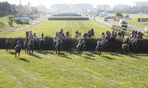 Simply gather your entrants together, collect the cash and let our handy sweepstake builder do the rest. Grand National Weights 2021 What The Trainers Say