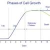 The standard growth curve of cells in a culture is shown in figure 1.2. Https Encrypted Tbn0 Gstatic Com Images Q Tbn And9gcqomzex302bl5tawdnvn12pu64qlwglzmi5yrzgi63vayuhpmvg Usqp Cau