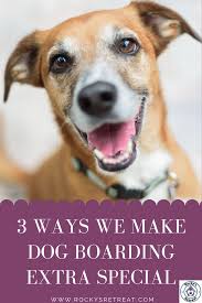 Feb 15, 2021 · as with a dog boarding facility, always make sure you give the dog sitter emergency contact information and access to any pet first aid supplies you have, along with instructions for medication. Orlando Overnight Dog Boarding Overnight Dog Boarding Orlando Overnight Dog Boarding Dog Boarding Dogs