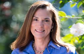 Environmental group targets Dana Young in wake of Mosaic sinkhole incident