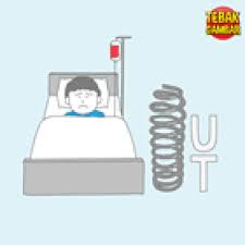 Kunci Jawaban Tebak Gambar Level 3 Terlengkap Gambar Pengertian