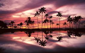 Make sure to order enough panels to cover your wall or surface (size options below). Ala Moana Wallpapers Top Free Ala Moana Backgrounds Wallpaperaccess