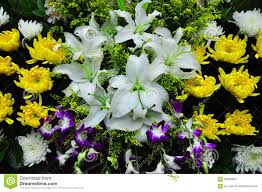 Check spelling or type a new query. Funeral Flowers For Condolences Stock Image Image Of Bulbs Coffin 62963637