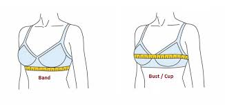 Maybe you would like to learn more about one of these? Bra Size Calculator A Perfect Measurement Guide For Women