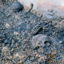 Group Proposes Ways To Memorialize African American Remains