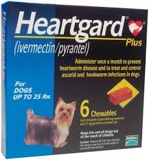 Heartgard for cats is a pet medication that treats heartworm. Heartgard Plus Chewables Heartworm Heartworm Prevention Medication For Dogs