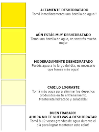 Densidad La Densidad De La Orina Es Un Metodo Sencillo Y Rapido Aunque En Cierto Grado Inconfiable Que Indica E Color De La Orina Tipos De Enfermedades Orina