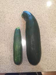 How heavy is 23 kg? A Normal Size Zucchini Next To A Not So Normal Size Zucchini Mildlyinteresting