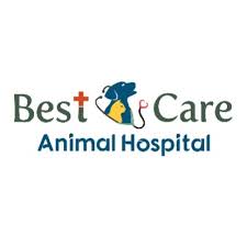 Is an animal hospital at 2343 ushighway 70 west, goldsboro, nc 27530. Veterinary Receptionist Salaries In Raleigh Nc Simplyhired