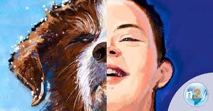 Travis Schaeffer's Instagram, Twitter & Facebook