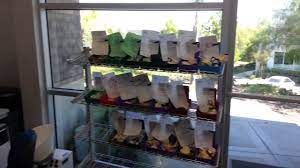 Our comprehensive dental lab facility provides quality restorations to discerning doctors around the. Web Exclusive Nash Dental Lab Tour Youtube