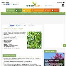 legumes jardiner malin semis arbuste
