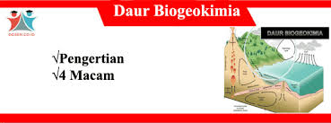 Sama seperti proses fotosintesis pada siklus karbon, matahari juga berperan penting dalam siklus hidrologi. Daur Biogeokimia Pengertian Fungsi Macam Contoh Daur Biogeokimia