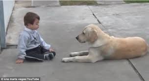 Dog Befriends A Down S Syndrome Boy Petspyjamas