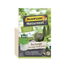 Les mâles finissent par se noyer et les femelles ne peuvent plus s'accoupler. Algoflash Naturasol Recharge Piege Pyrale Du Buis Cdiscount Jardin