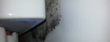 I think it may have developed behind it, but i rent, so i can't just remove the caulk. Bathroom Mold How To Identify And Get Rid Of Mold In Bathroom Environix